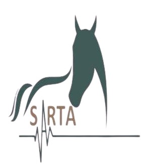 sarta12121212