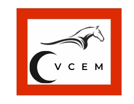 vcem